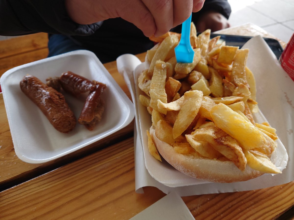 Ernie (and lil' bro Stan) 🐾 on Twitter "All good beach zoomies deserve