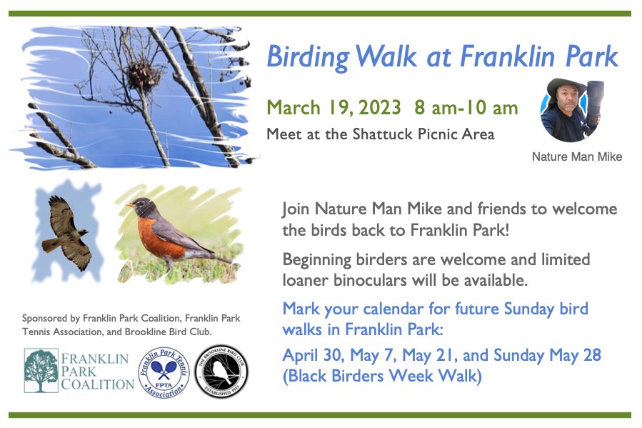 Elma Lewis Playhouse in the Park Perfect Example Franklin Park Coalition