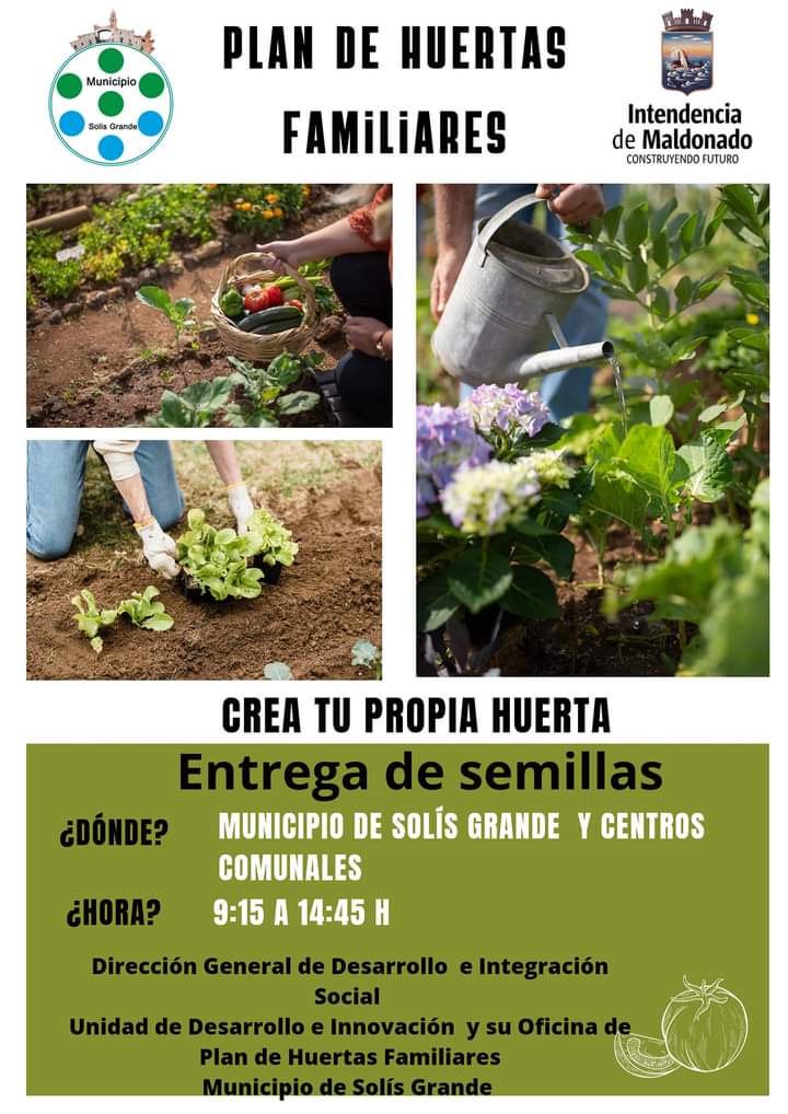 🌱 Plan Huertas Familiares

🍎Anunciamos que están disponibles los packs de semillas para que cada hogar establezca su propia huerta.

🏫Se pueden retirar en los Centros Comunales del Municipio,  

📞Por más información: Oficina de Plan de Huertas Familiares - teléfono 4223 7795.