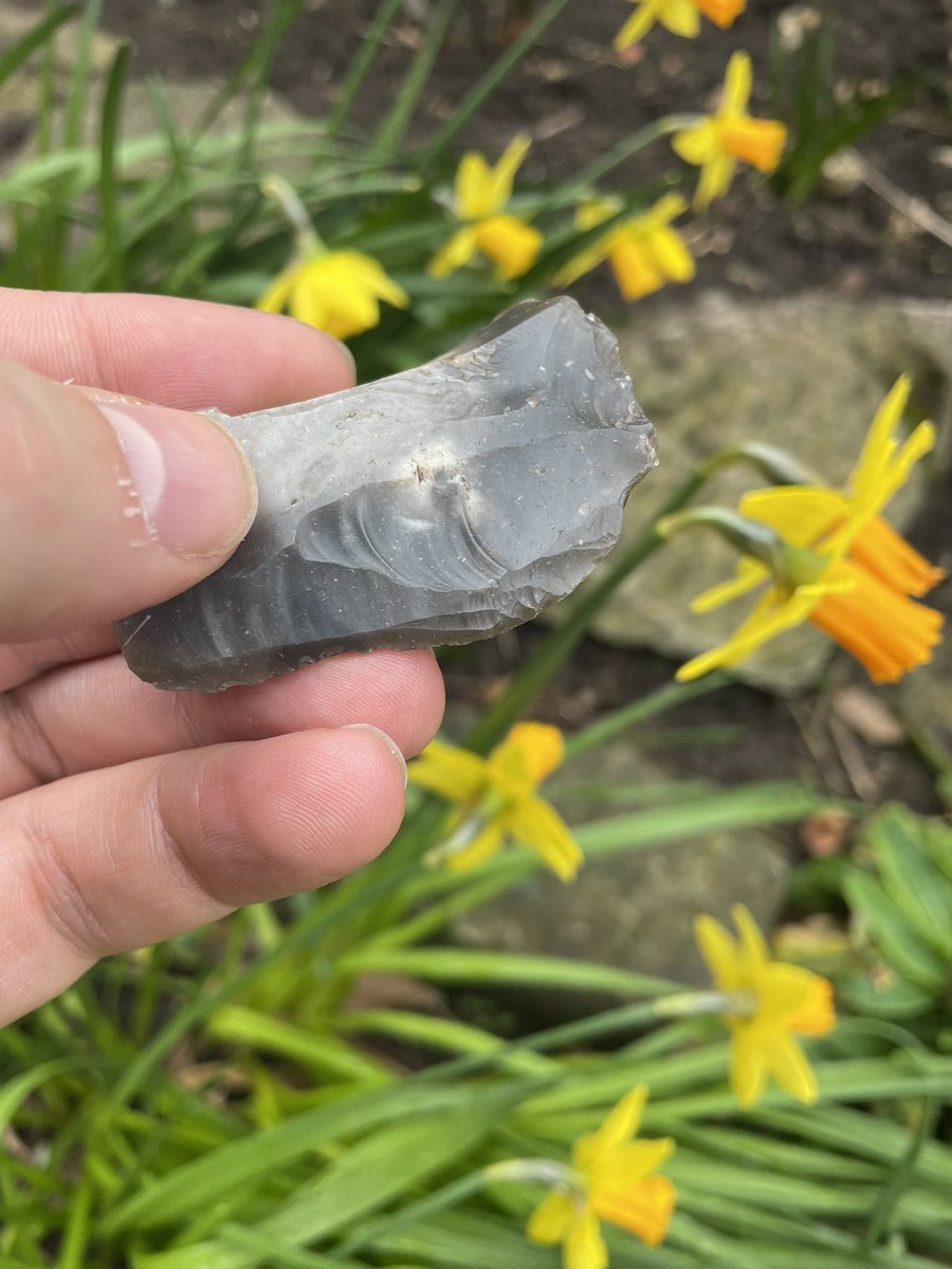 A training day with my <a href="/EnvAgency/">Environment Agency</a> colleagues teaching people how to spot prehistoric worked flint.  Every day is different!