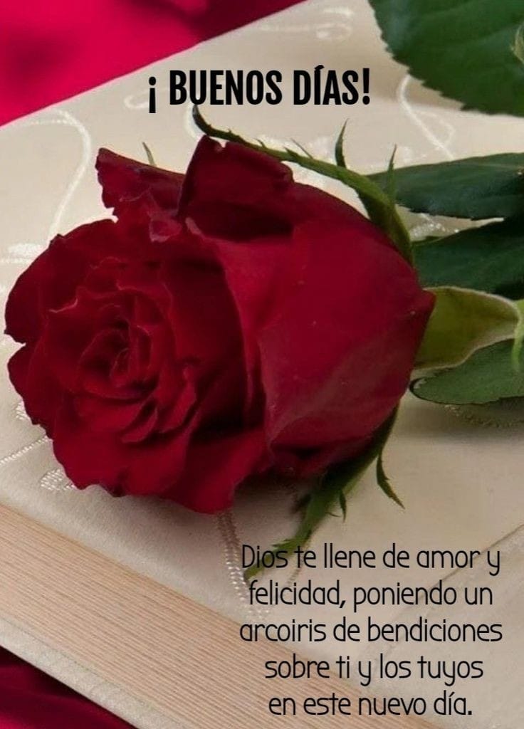 ETETY5's tweet photo. Bendiciones
#MetaDeHoy 
Ser felices https://t.co/WKI8Yx6omM