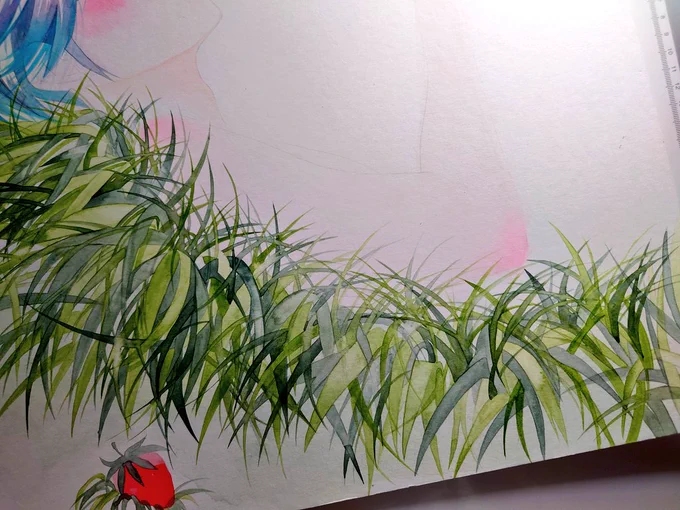 草が生えました 