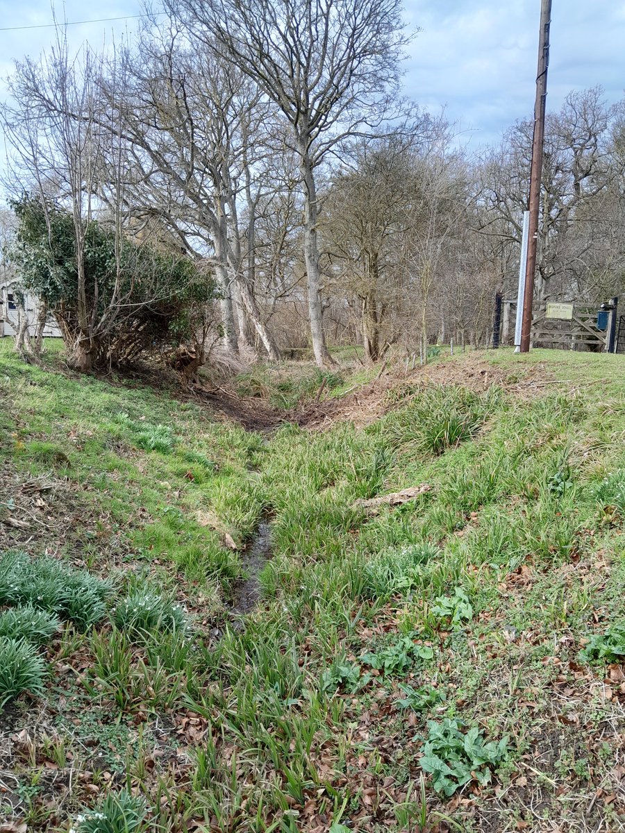 BSIckwell's tweet photo. The C12 moat has been opened up by some tree clearance
Welcome to the Ickwell tweet account

As one tree goes another giant falls https://t.co/RASaal0EyK