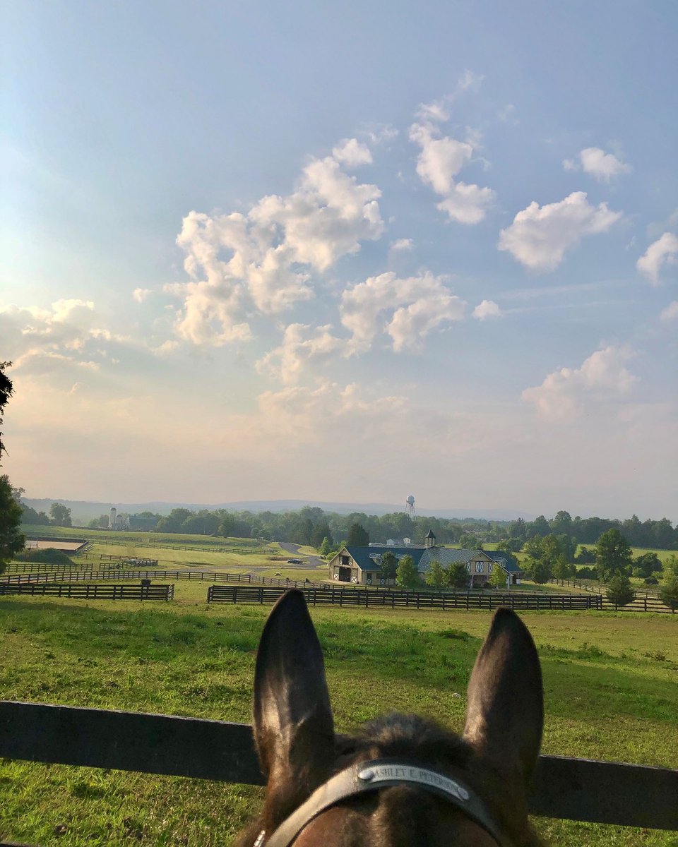 Salamander Middleburg tweet media