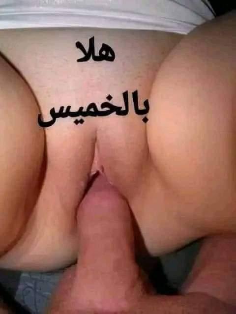 الفحل العربي (@frydbrahymy) on Twitter photo 