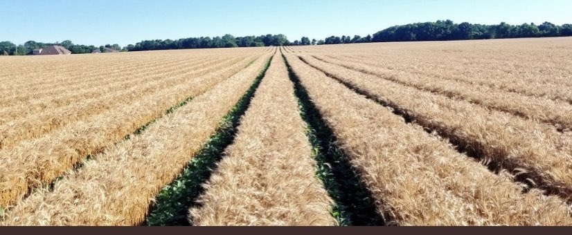 Jason Mauck tweet media