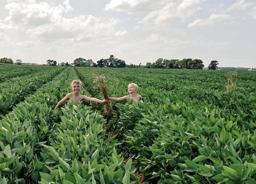 Jason Mauck tweet media