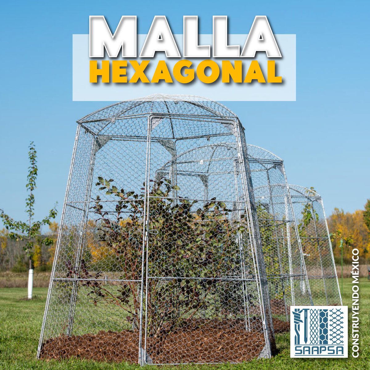 SAAPSA2's tweet photo. *MALLA HEXAGONAL*
✅ Tiene un acabado galvanizado
✅ Su presentación es en rollos de 45 ML
✅ Viene en aberturas 13 mm (Pajarera), 25 mm (Pollera) y 50 mm (Gallinera)
✅ Diversidad de usos: Jaulas para animales pequeños, Protección de jardines, Enjarres y más
#MallaHexagonal https://t.co/xDgrBcLFMn