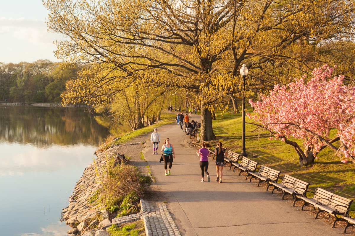 Emerald Necklace Conservancy tweet media