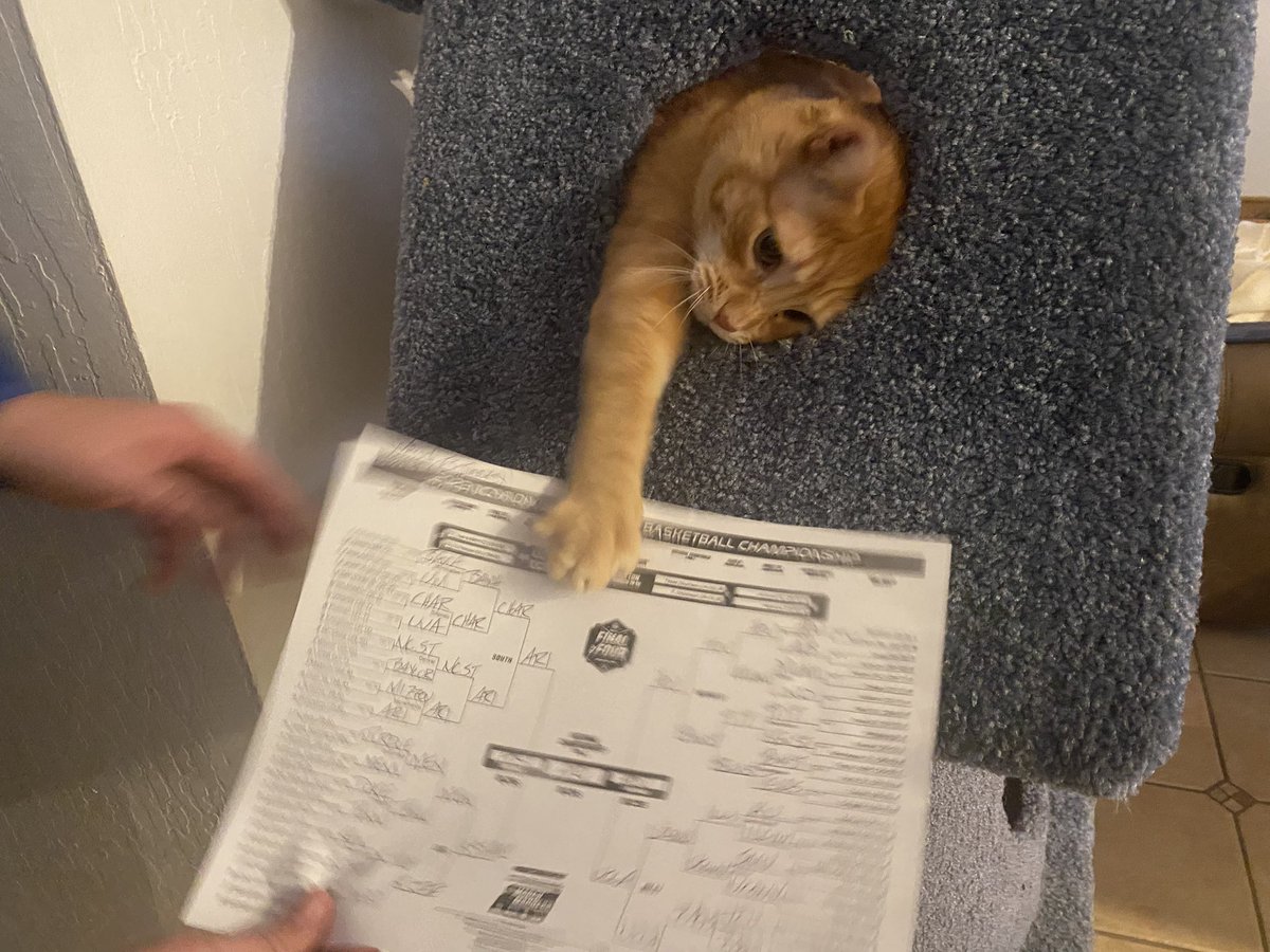 Three Sheets LV tweet media