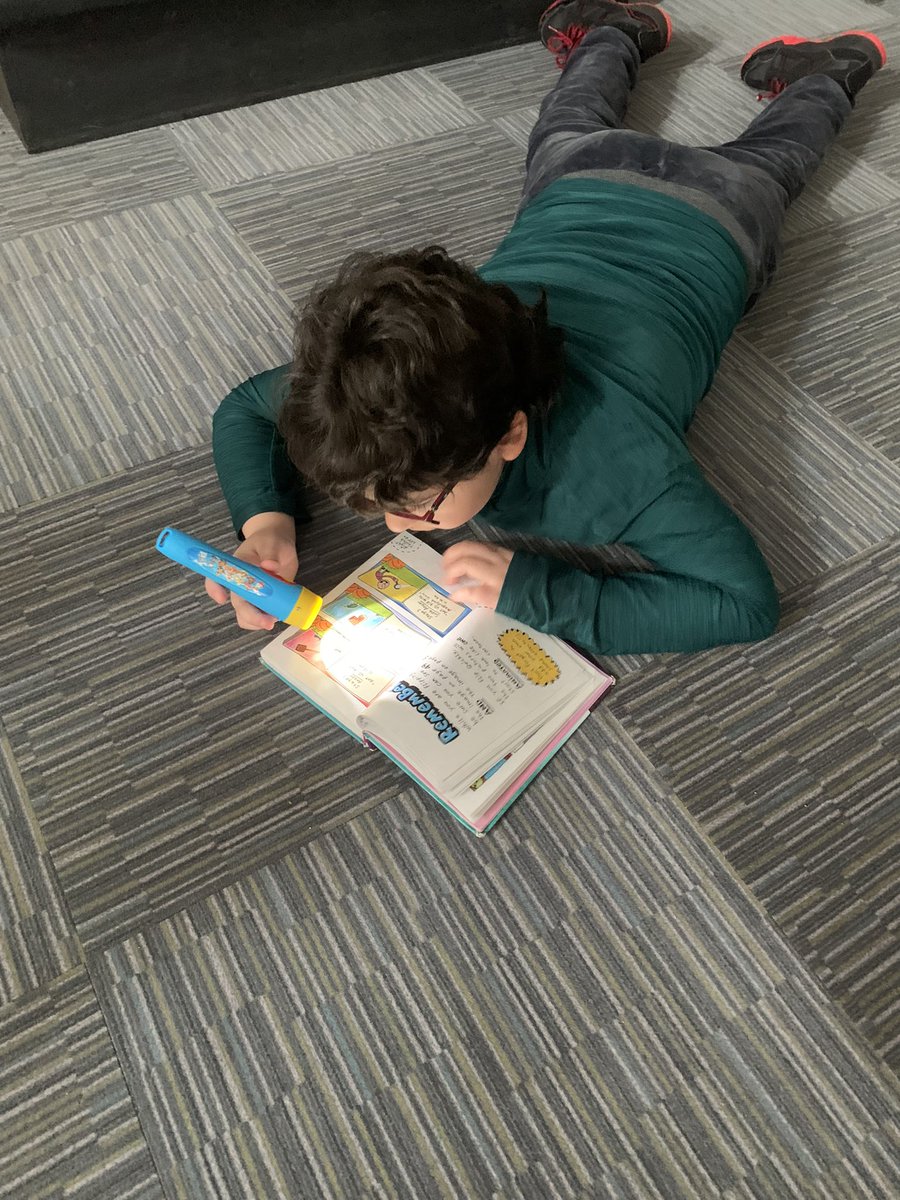 Mrs_Stevens2's tweet photo. We are enjoying flashlight reading day for #mirm @TroyUnion https://t.co/H4lAb3Zt2G