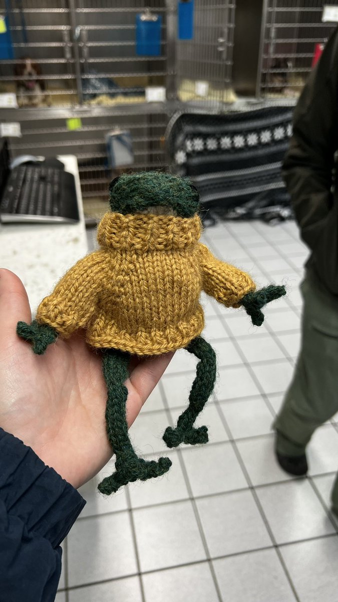RedWhiteAndPoor's tweet photo. There’s just something about little knit frogs and their little knit sweaters https://t.co/VaZl8dVF39