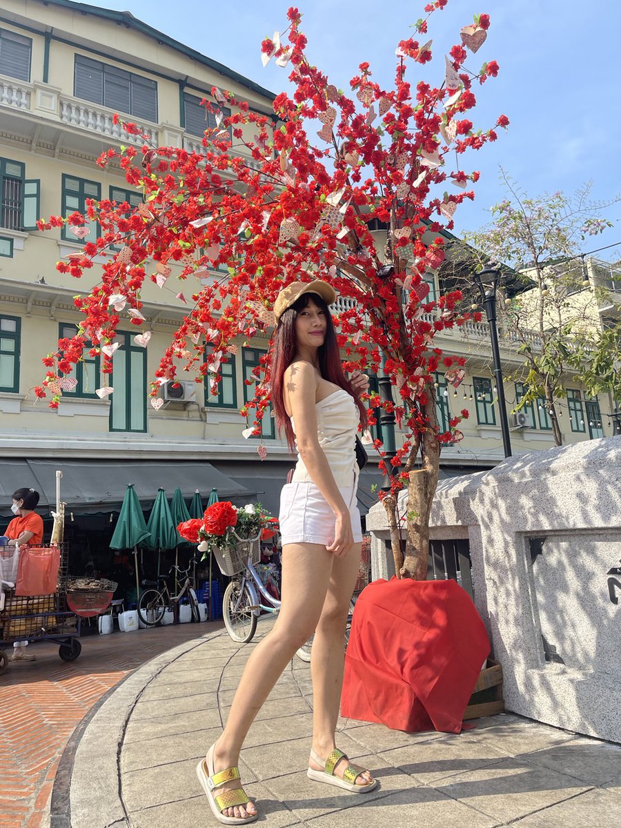 Piko_piYo's tweet photo. Stop trying so hard for people who don’t care.
😉😉😉😉😉

#lonely #alone #single #stillalone #stilllonely 
#stillsingle  #caption  #สำเพ็ง https://t.co/ZC0nEUmsfN