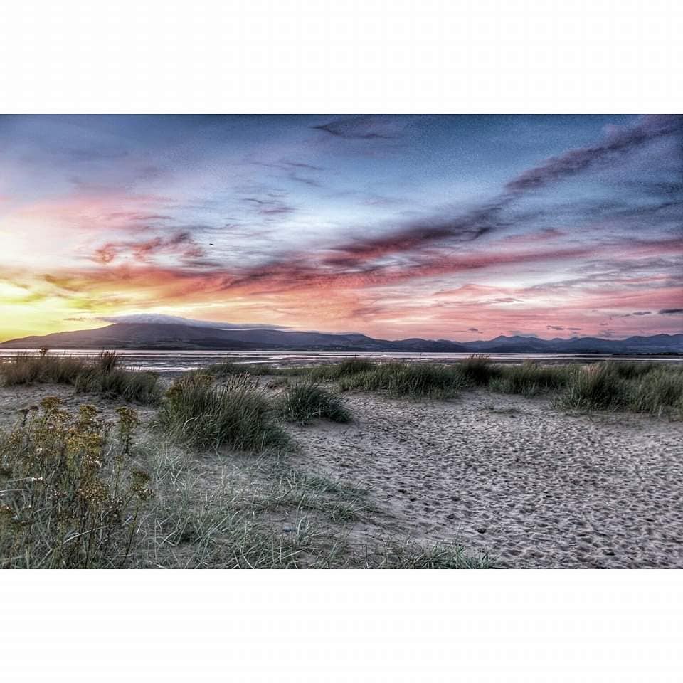 A 450 lodge holiday complex is planned for #Roanhead #cumbria 
It will have devastating consequences for local #wildlife &amp; nature. Join our campaign
📷Send us your photos of Roanhead to planning@fld.org.uk 
#SaveRoanhead #natterjacksattacked 
#biodiversity friendsofthelakedistrict.org.uk/roanhead-lodge…