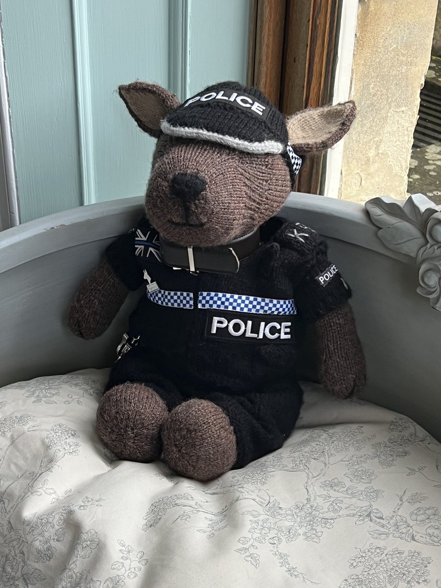 The_NFRSA's tweet photo. We apologise for the flood of tweets today friends - we have a major situation we’re dealing with, & we are going to need your help with this one. #PDKyle is offering the boss support & advice, & as it turns out, he’s an excellent listener. Updates coming later. 
💜🐾💜 @K9Scottish