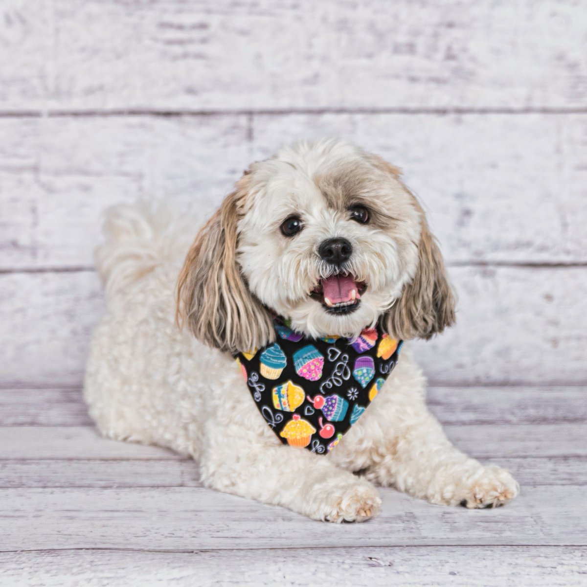 WaverlyCary's tweet photo. Shop some of the cutest dog accessories and designs at our ✨ Pups, Pints, &amp; Play ✨ event! Luna's Little Boutique, Paws B-Cause, and Binky &amp; Bell will all be there to show off their beautiful pieces. They will also be donating a portion of their sales. 🥰 https://t.co/tI83CMVGS7