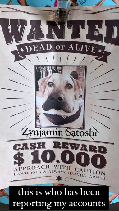 this is who has been reporting my accounts. please follow instructions and approach w caution ⛔️ https://t