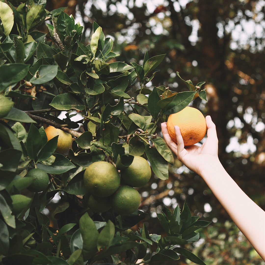 LeapFrog Design tweet media