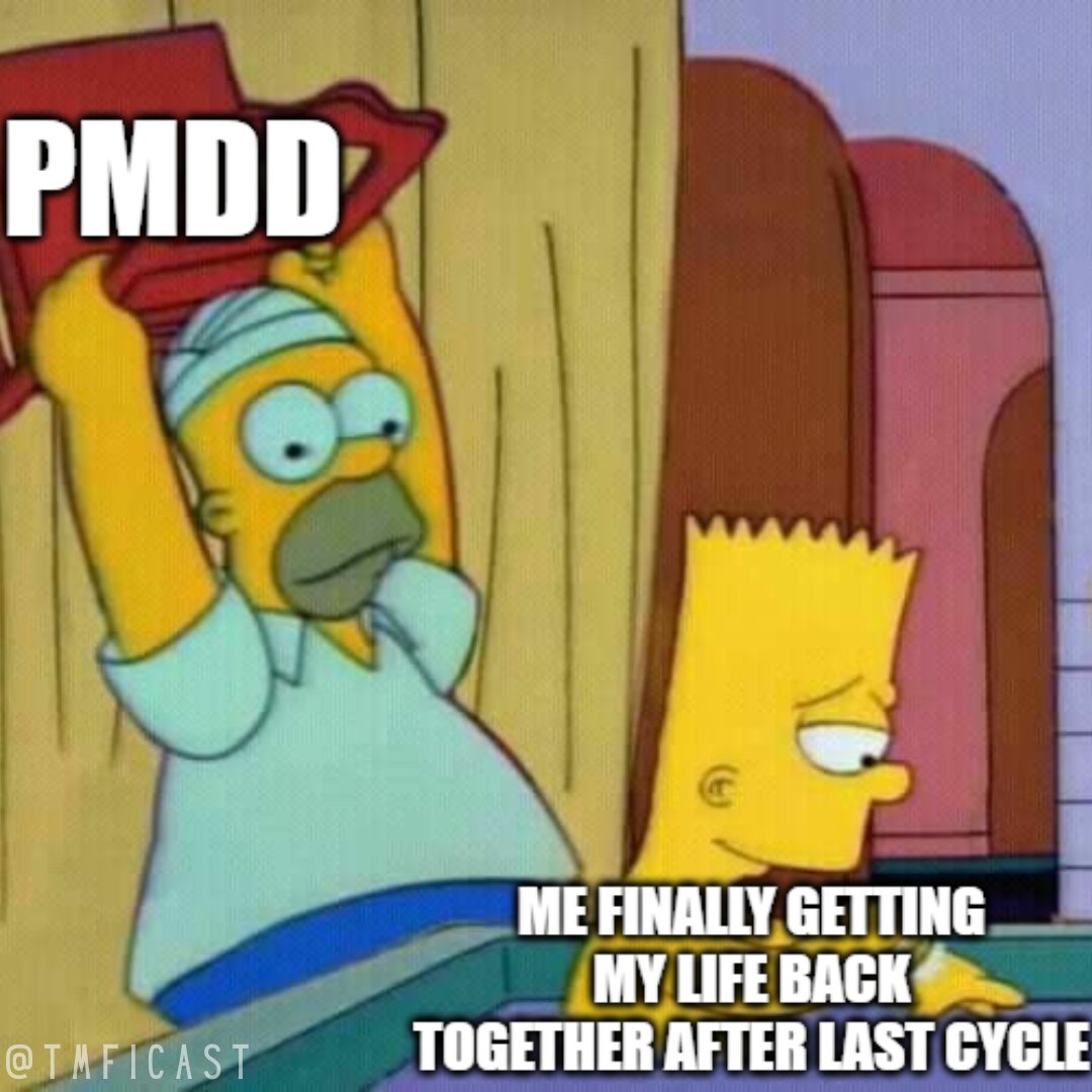 tmficast's tweet photo. a never ending cycle... #pmdd #pmddmemes https://t.co/OQTxQvcDj8