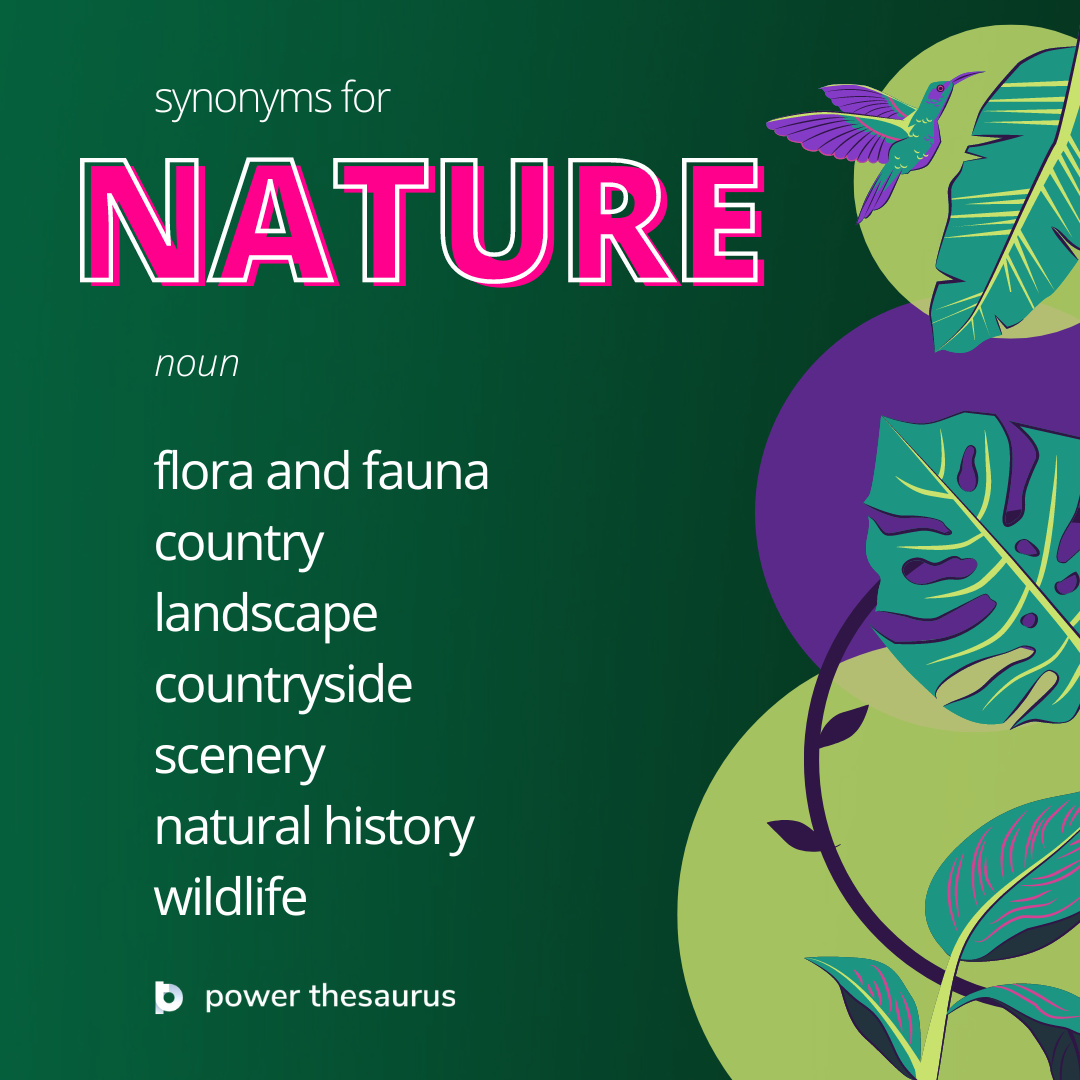 Escalas Humanas PNG Magic Shop, 55 OFF