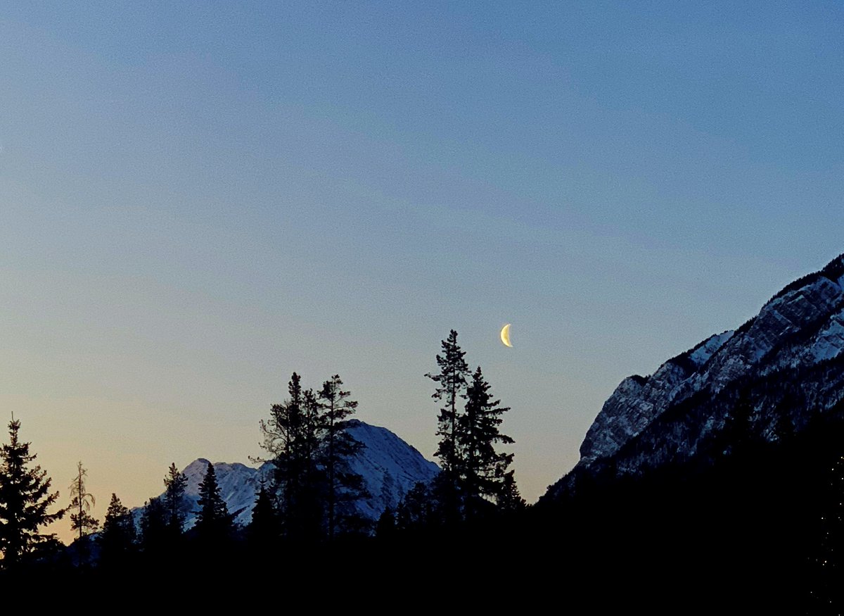 mjplevin's tweet image. Another early morning start at the @KeystoneSymp  conference on &quot;Computational Design and Modelling of Biomolecules&quot;. Lots of interesting talks. Lots of  #AlphaFold #RoseTTAFold and #RFdiffusion.
The photo does poor justice to the real scene.
#Banff @BanffNP @FairmontSprings