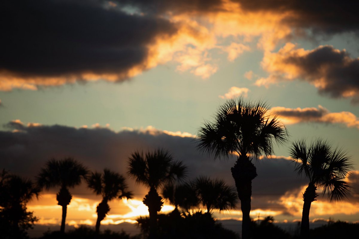 Cardinals's tweet photo. Another morning in Florida! ☀️ https://t.co/RxftskDp27