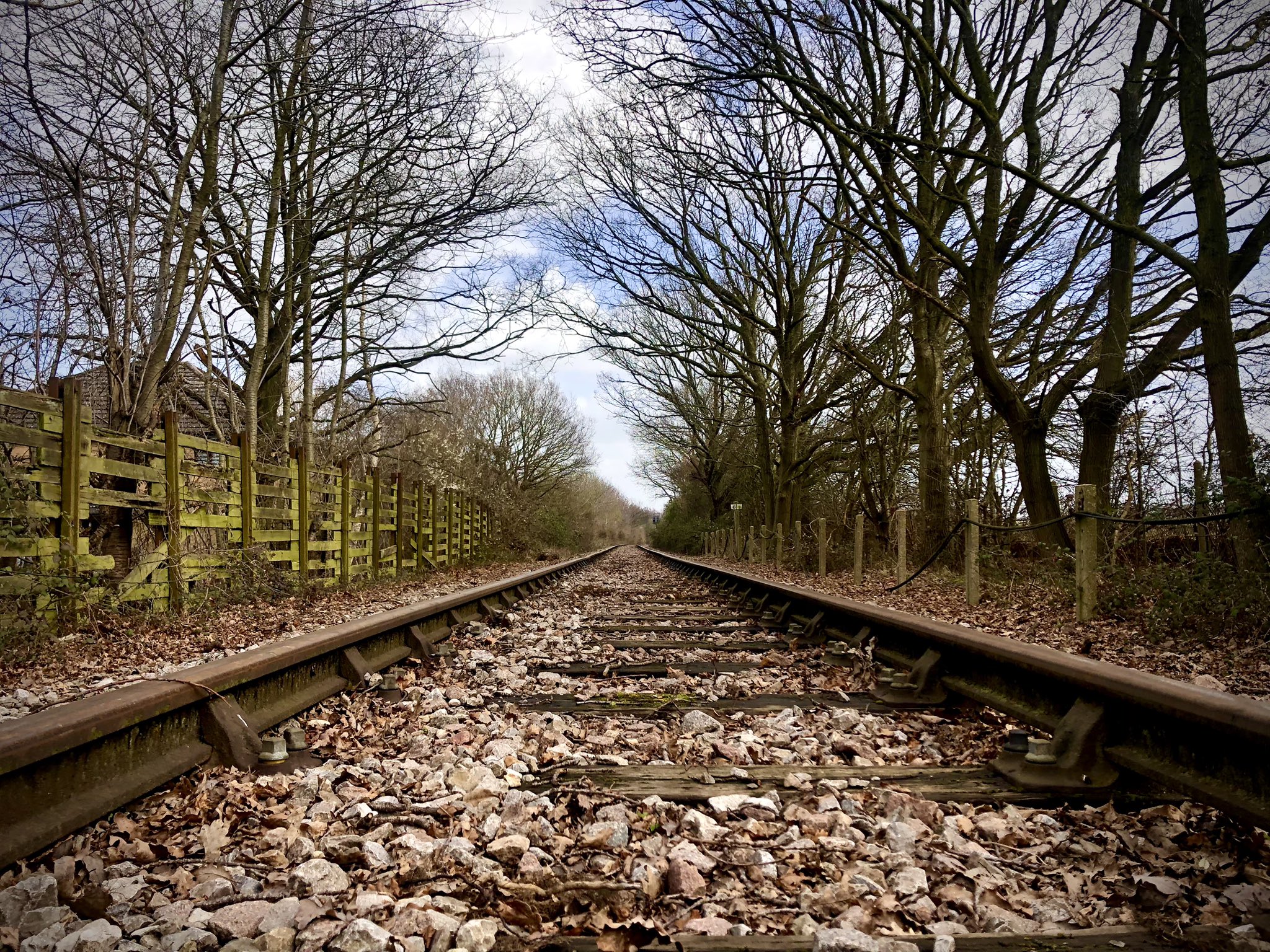 Ricky Gervais on Twitter: 