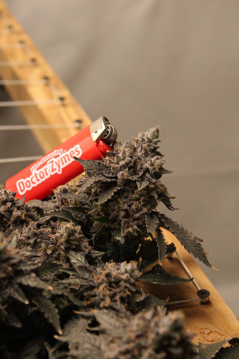 Some deleted scene from cult classics