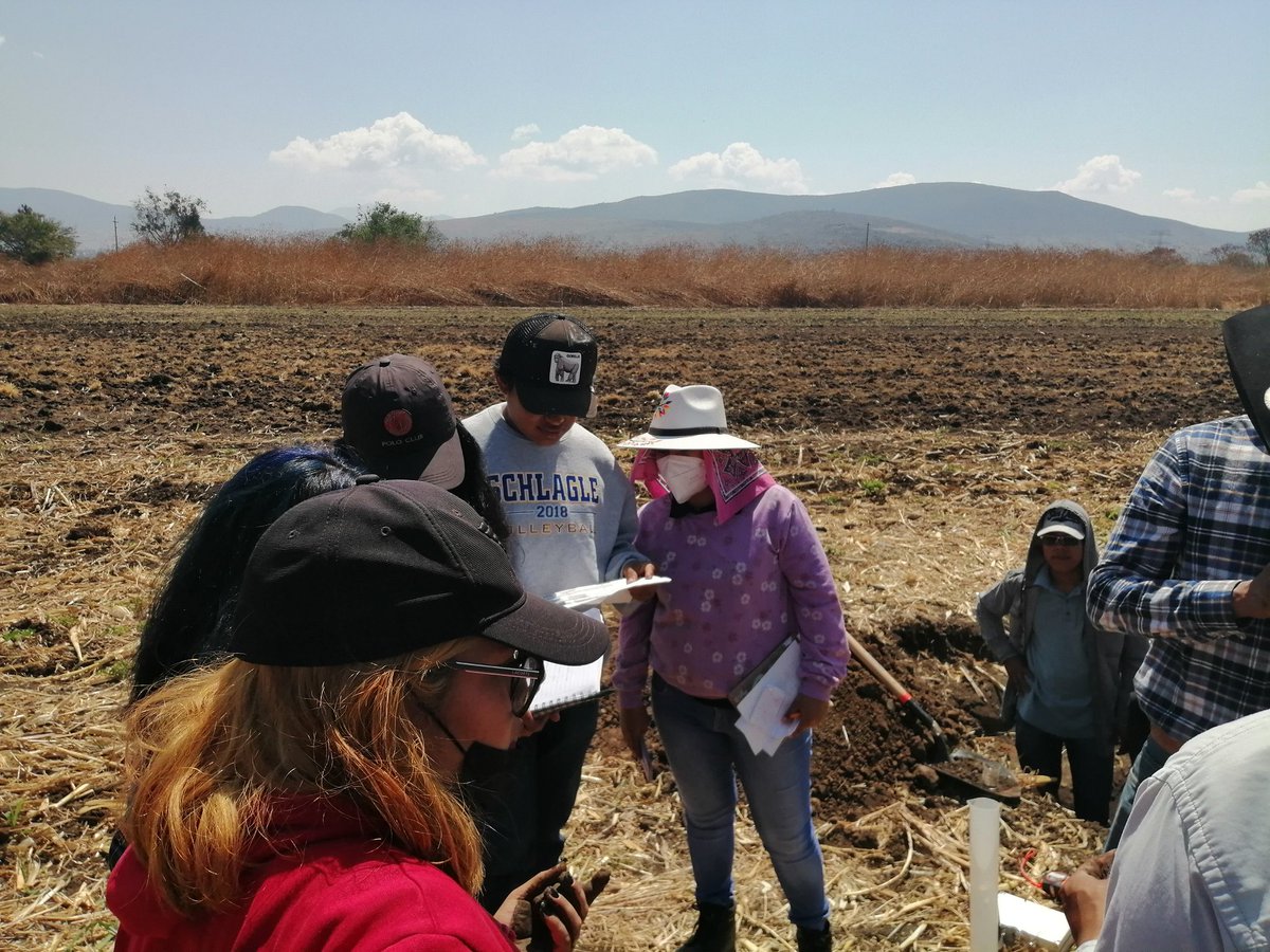 HubPSurCimmyt's tweet image. La vinculación y el trabajo con jóvenes es importante, para @CIMMYTesp es por ello que las últimas semanas hemos trabajado con la @uamxoficial @ItvoOficial y @utvco  como parte de las acciones del #HubPSur @ACCIMMYT @Jelle_VanLoon