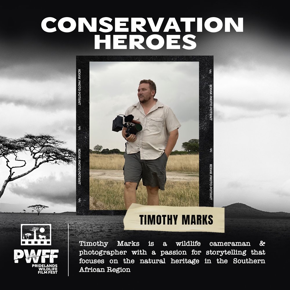 Learn more about Timothy's work at @timfromzim on Instagram & tdmarksfilmphoto on Facebook and Twitter!
 #pwff2023 #africarising #africasfirstwildlifefilmfestival #africanstorytellers #tellingthestoriesofwildafrica  #shiftingnarratives #wearethechangewevebeenwaitingfor