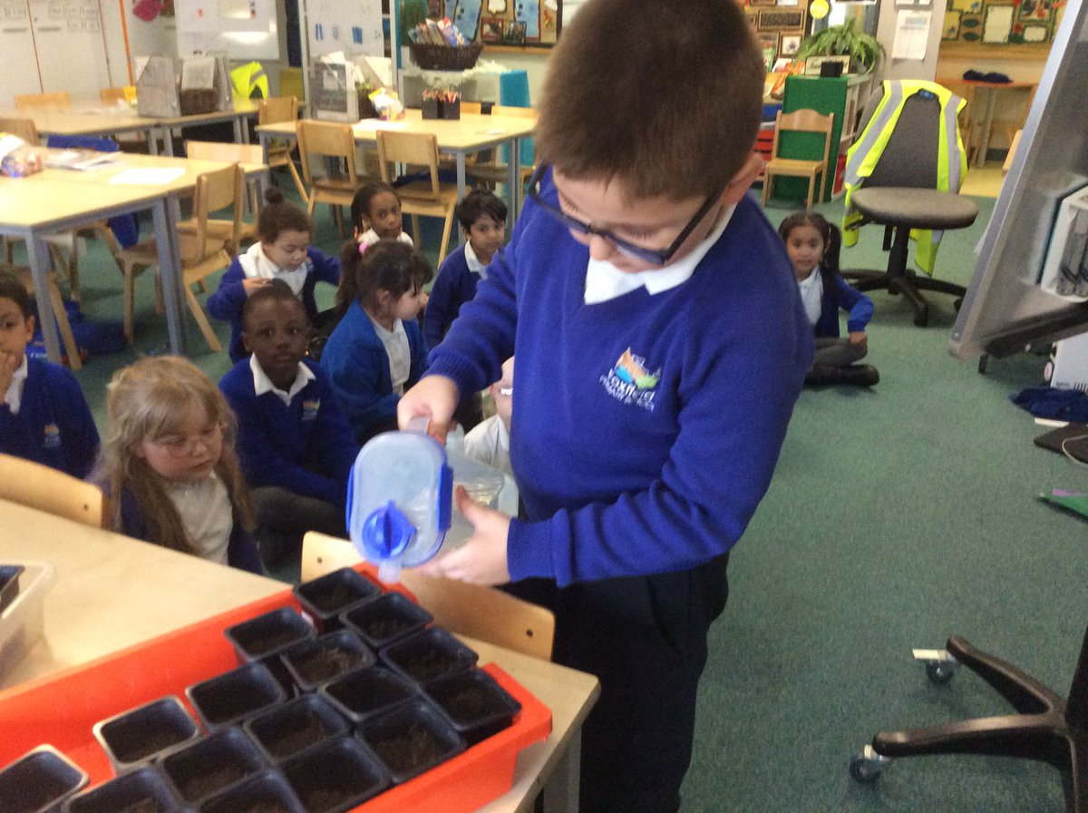 Foxfield Year 1 Juniper tweet media