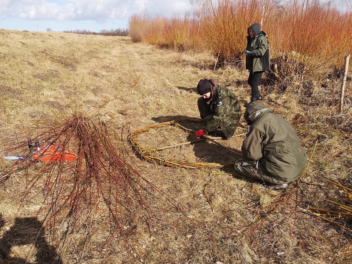 Piątkowe Podsumowanie Tygodnia tweet media