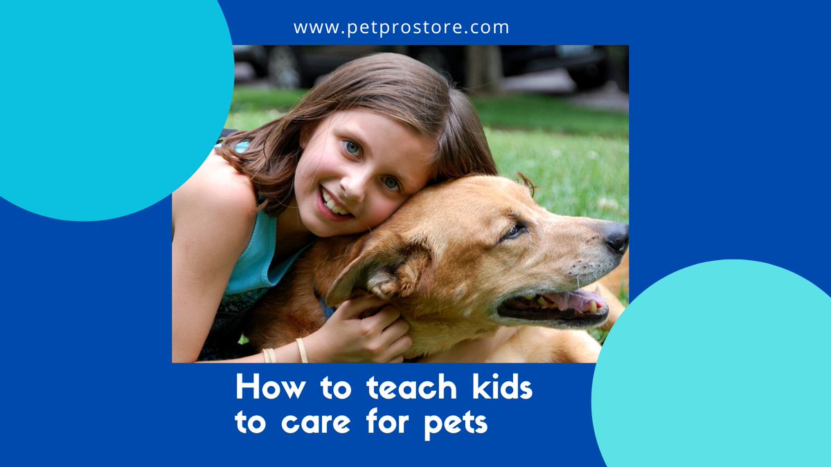 PetProStore1's tweet photo. In this post I will share tips on how to teach children to take care of pets.

https://t.co/8SeeSnWAa6

#dogsaccessories  #dog #dogs #pet #pets #cat #cats #dogstore #catstore #petstore #dogtips #cattips #pettips #doglover #petlover #catlover #puppy https://t.co/2b2HbVNOEW