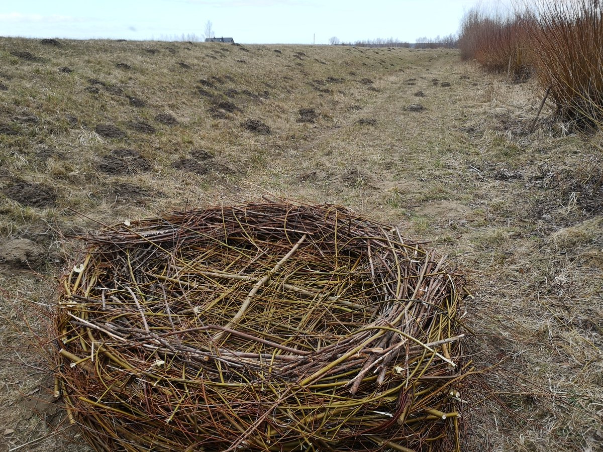 Piątkowe Podsumowanie Tygodnia tweet media