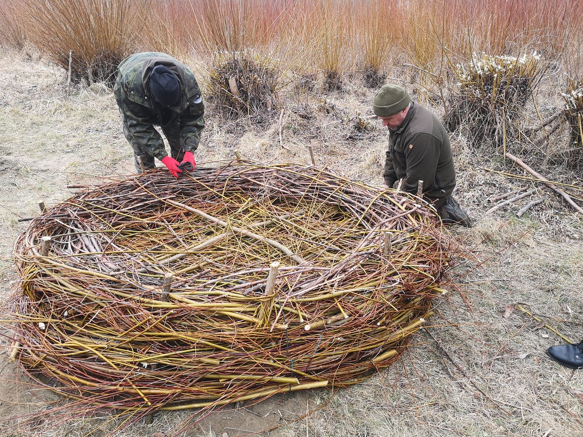 Piątkowe Podsumowanie Tygodnia tweet media