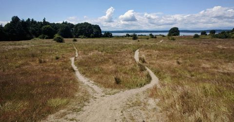 Wanneer gebruik je nou #geitenpaadje en #olifantenpaadje in je tekst. Dit artikel legt haarfijn het verschil uit (geen alternatief vs. snellere route). Enne, het is trouwens beter om te spreken van olifantenpad 😉 #taal schrijfwijzer.nl/taalvragen/ver…