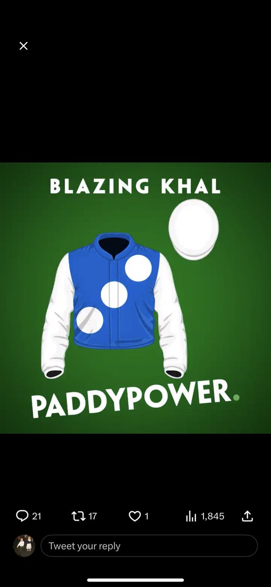 MattBird4's tweet photo. @paddypower #PPStayersHurdle https://t.co/ooQpJbeAr6