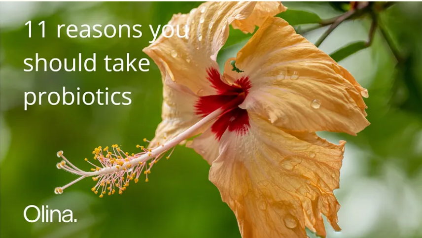 DiscoverOlina's tweet photo. There are a significant number of benefits of probiotic supplements. How can they affect you and improve your overall health? Check out our blog to learn more!

https://t.co/TJfcGLUXSJ 

#olina #probiotic #probiotics #supplements https://t.co/m5h92QzlEP