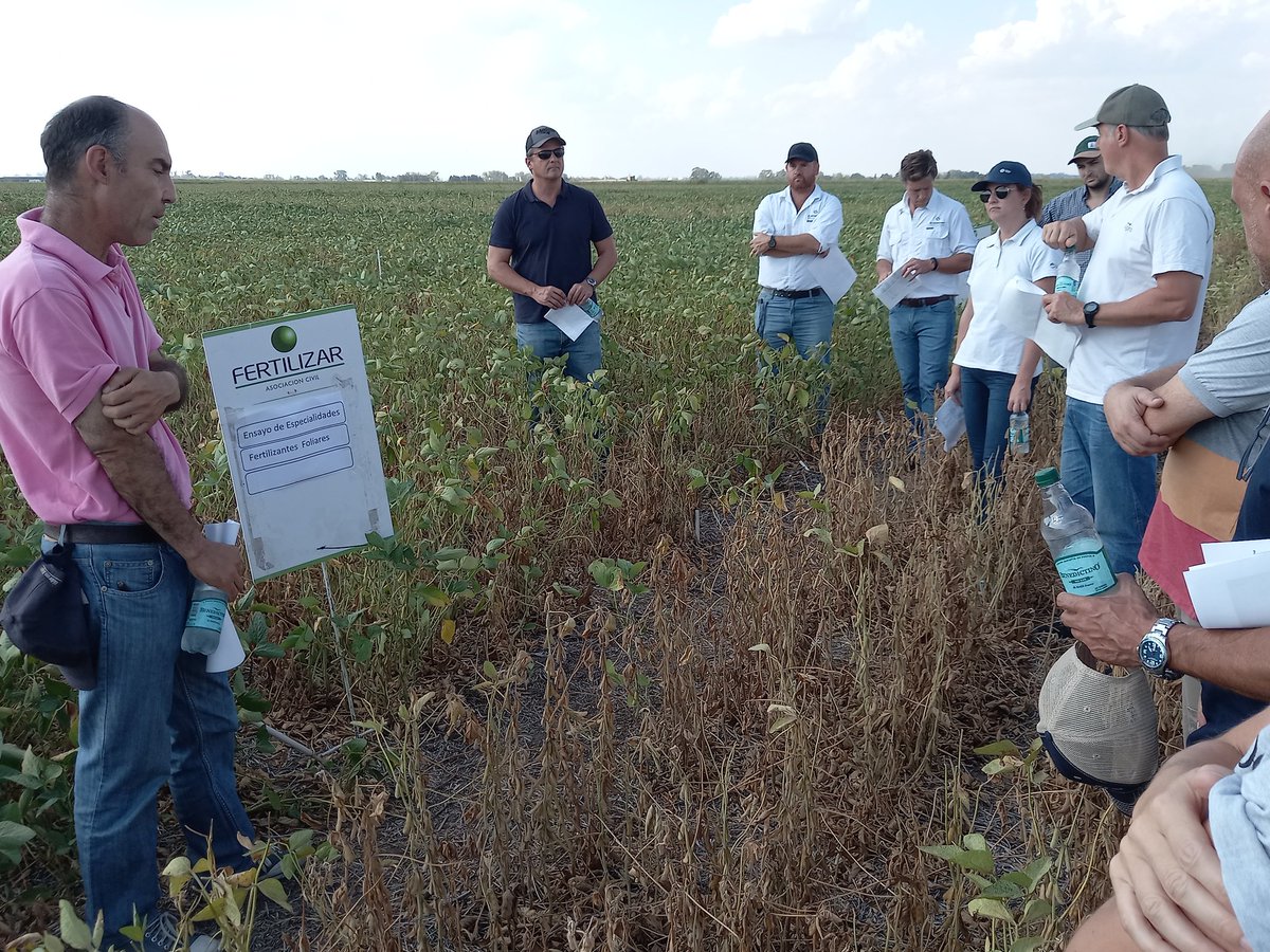 RodrigoFalcone5's tweet photo. Recorrida de ensayos en #soja en @IntaPergamino junto al comité de especialidades de @FertilizarAC @GustaFerraris y distintas empresas del sector. Analizando distintas tecnologías en fertilizantes foliares y bioestimulantes 💪🙏🌧 @ProfertilAgro @EuroChemGroup @YPFAgro @ACAcoop https://t.co/KpWiNfW6Ak
