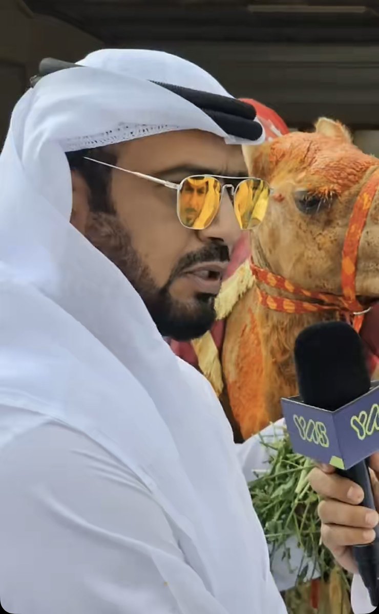 samialreyami's tweet photo. خلال 48 ساعة حصدوا الجوائز والرموز في ميادين دولة قطر والعُلا في المملكة العربية السعودية.ما يفعله أبناء راشد بن غديّر في ميادين الهجن مفخرة لرياضة الامارات وتراثها في وقت شحّت فيه انجازاتنا الرياضية..ولو كان هناك كأس عالم لسباقات الهجن لسيطر عليها محمد راشد بن غديّر واخوانه https://t.co/VXR16P4rve