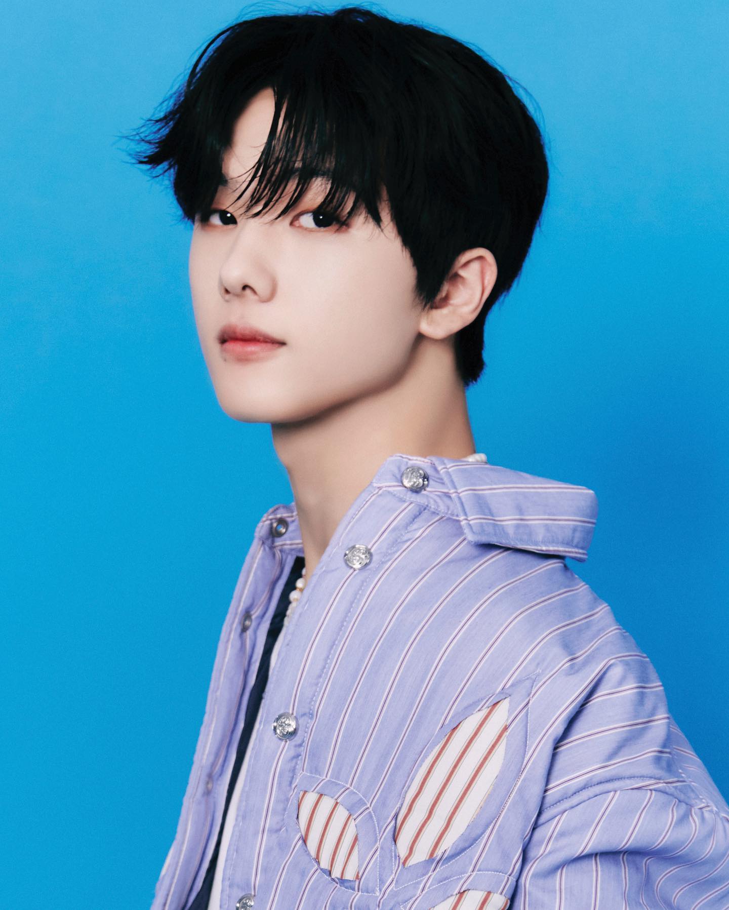 ドリショ アンコン nct dream candy MD SGS ジェノ Jisung Official Photocard NCT Dream Candy Trading Card
