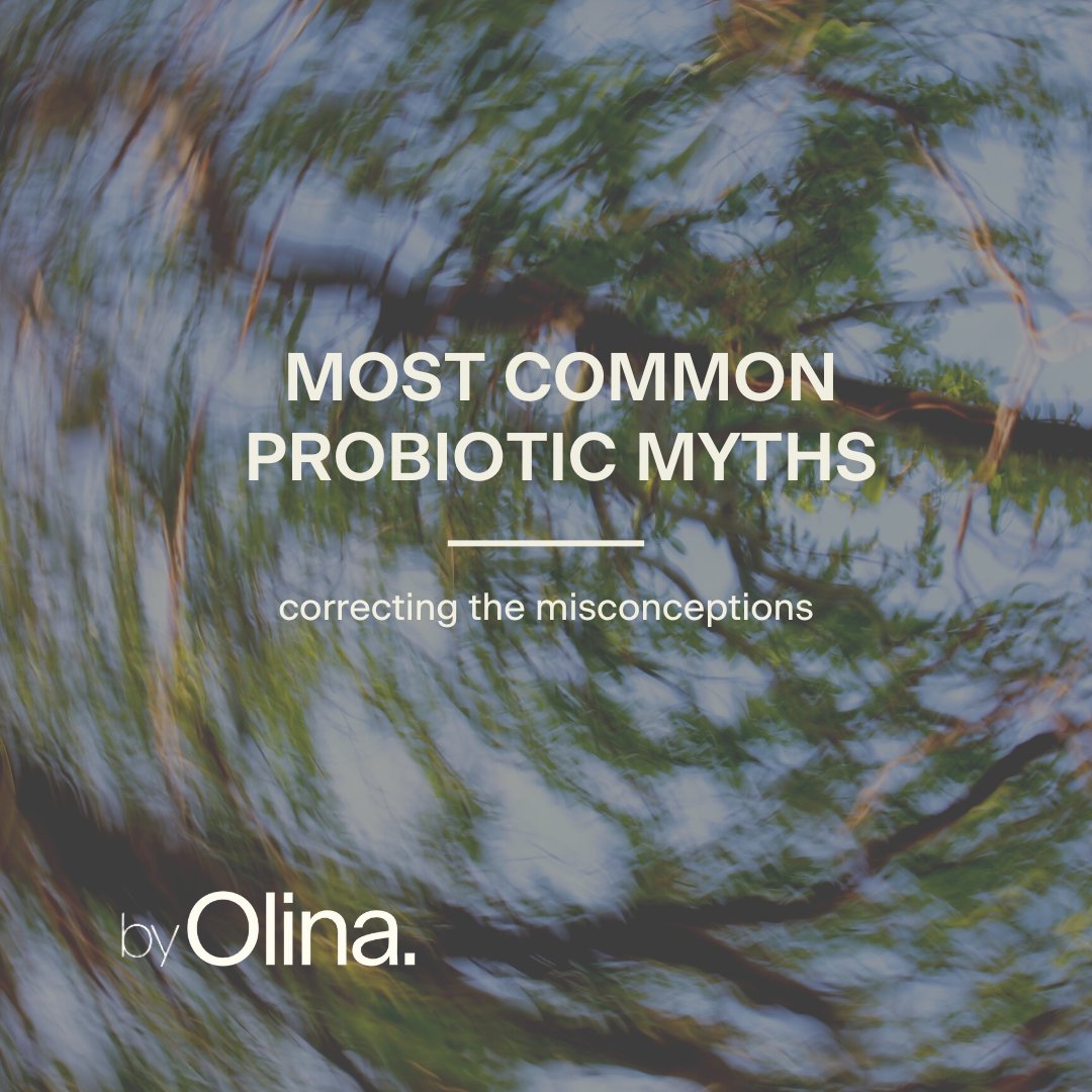 DiscoverOlina's tweet photo. Wondering about the myths surrounding probiotics? Let's inform you on some probiotic facts you may have been missing out on. Learn the truth here! 

https://t.co/yhU5vptYL4

#olina #probiotics #mythsdebunked #healthyliving https://t.co/G2og0cVzgl