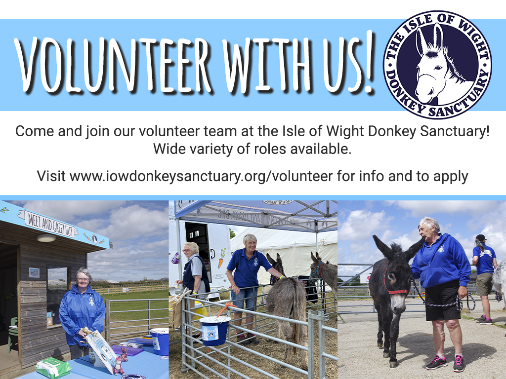 We have an amazing team of volunteers and they help us in every area doing many different tasks.
At the moment we are particularly looking for volunteers that may be able to help in these areas:
• Fundraising
• Marketing
• IT
• Events

#iowdonkeys #volunteer #charity