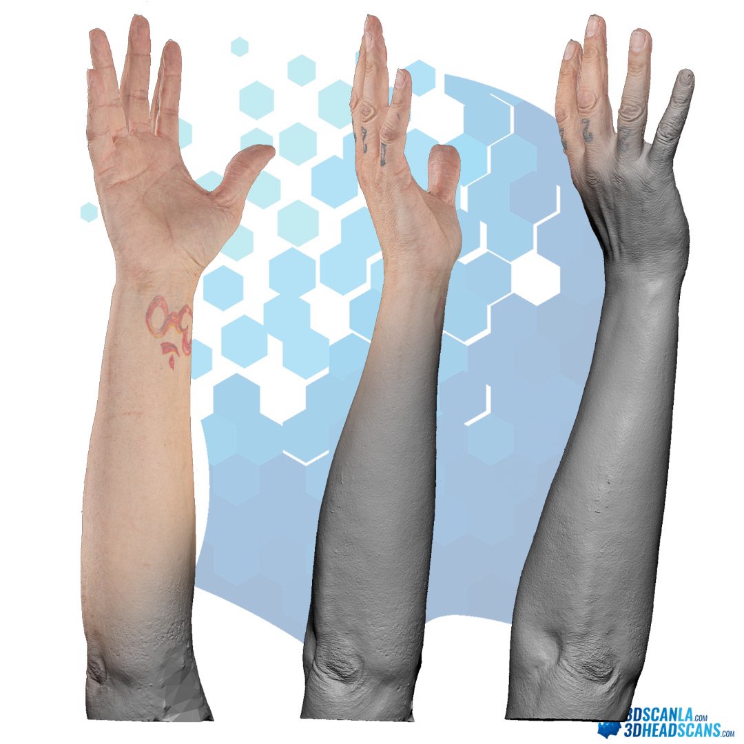3DHeadScans's tweet photo. FREE 3D Hand Scans! Thanks to 3D Scan LA Studios, download high-quality RAW &amp; Retopologized Hand Scans at https://t.co/96DFyKRf0C! Perfect for #GameDev, #VFX &amp; #Animation. Don't miss out! #3DScanning #Retopology #DigitalArt #3DModeling #Realism #3DHeadScans https://t.co/sMhAV0fJMW