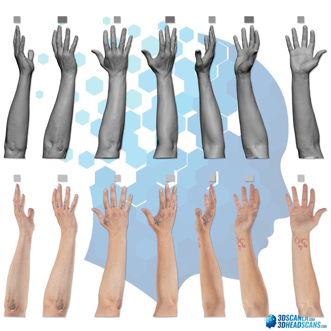 3DHeadScans's tweet photo. FREE 3D Hand Scans! Thanks to 3D Scan LA Studios, download high-quality RAW &amp; Retopologized Hand Scans at https://t.co/96DFyKRf0C! Perfect for #GameDev, #VFX &amp; #Animation. Don't miss out! #3DScanning #Retopology #DigitalArt #3DModeling #Realism #3DHeadScans https://t.co/sMhAV0fJMW