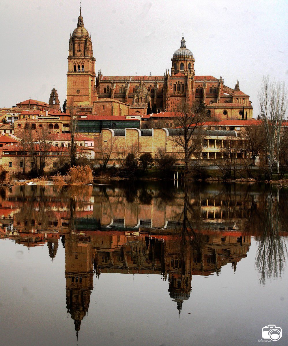 Salamanca_foto's tweet photo. 🥰 Solo una palabra… 

Salamanca 📸📸 https://t.co/huCOHZurOT