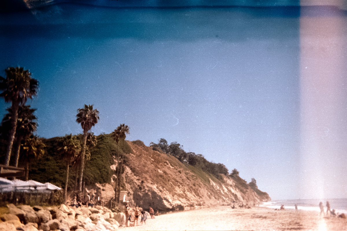 paulztackett's tweet photo. Disposable camera doing its magic ✨ https://t.co/bNvrEc6g4R