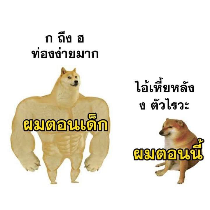 ง.งู แล้ว ป.ปลาเลย55555555555555555555