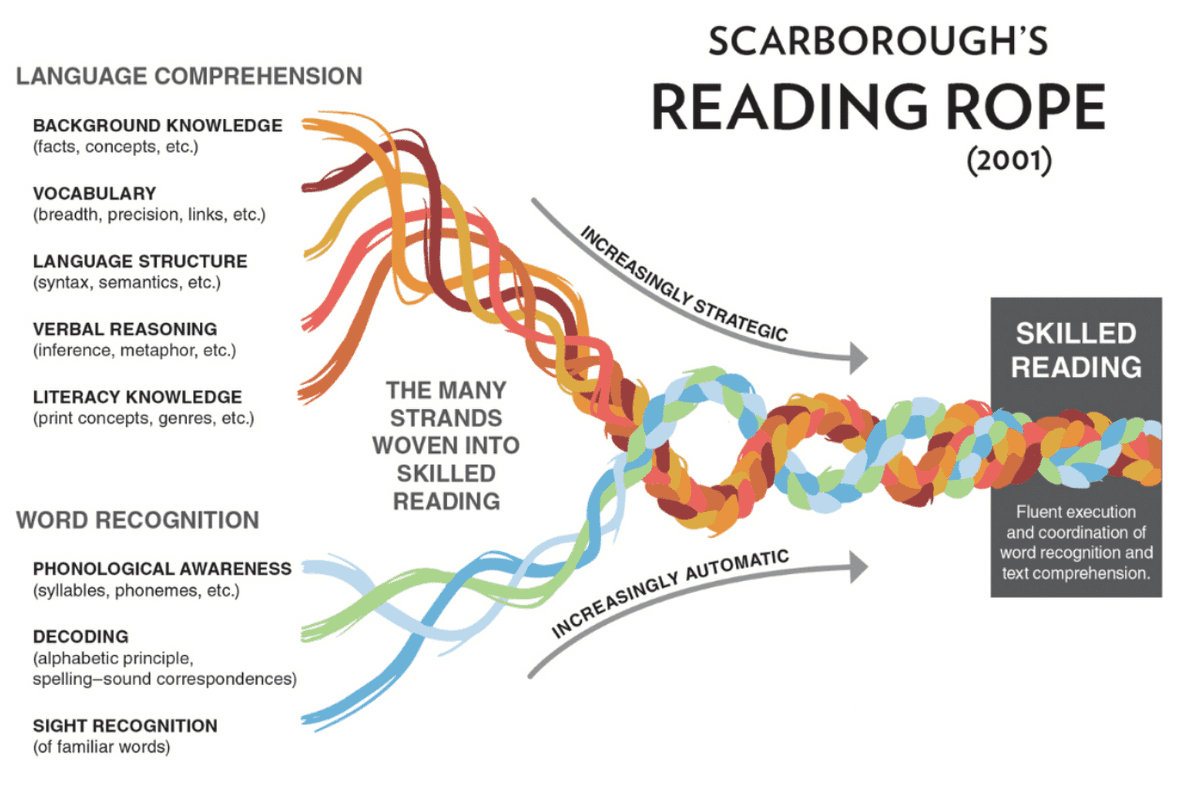 BrianWeing's tweet photo. Scarborough's reading rope can show how decoding, vocabulary, and comprehension work together to build reading proficiency. With proper instructor support, students can develop a deeper understanding of the reading process. @PJLanguageArts https://t.co/Yz5xGhkF9Y