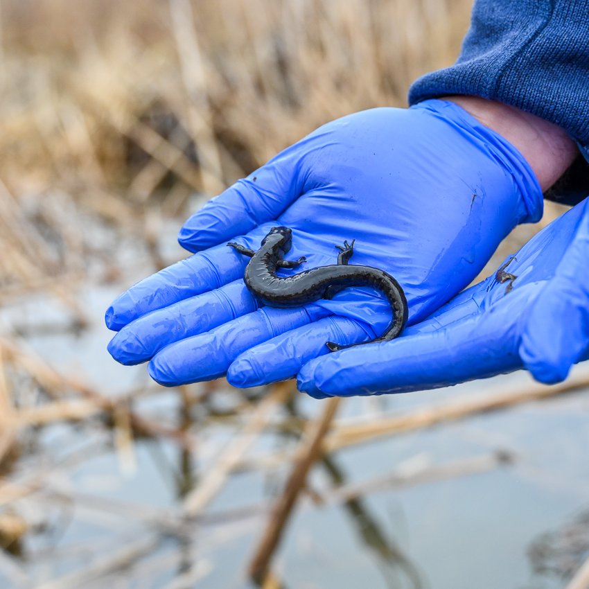 NE Ohio Regional Sewer District tweet media